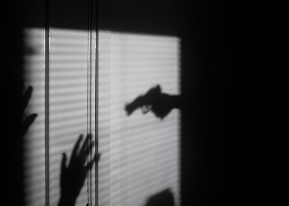 What is domestic battery in Nevada